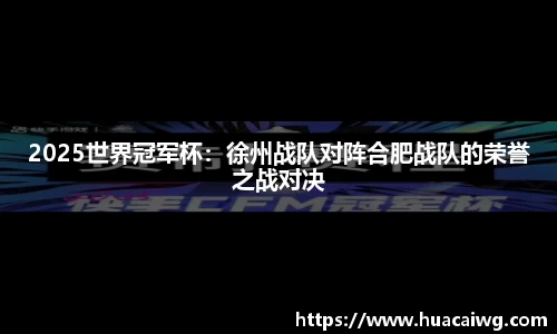 2025世界冠军杯：徐州战队对阵合肥战队的荣誉之战对决